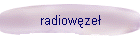 radiowze